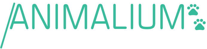 Animalium (Logotipo)